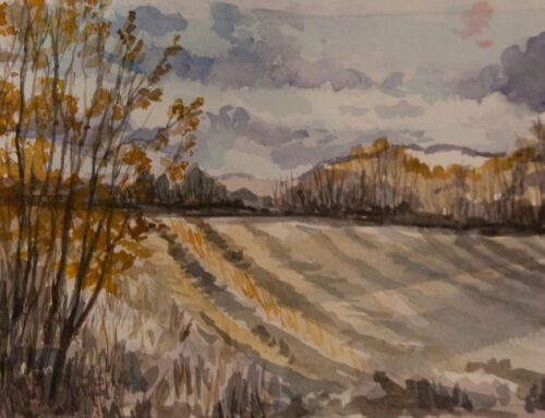 Lehi Field in November II