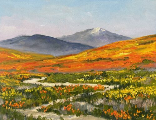 God’s California Flower Garden