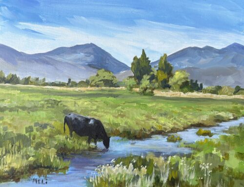 Heber Farm Pasture II