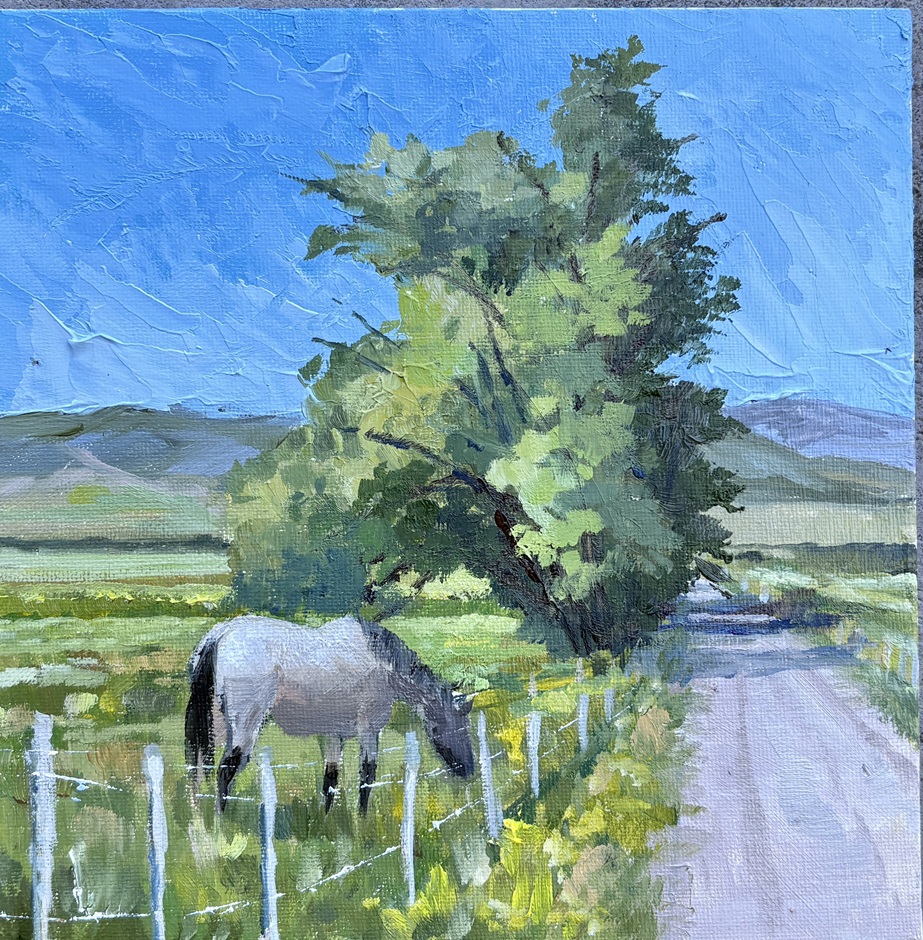 Item 213 Field on 1750 W, Midway, Utah
